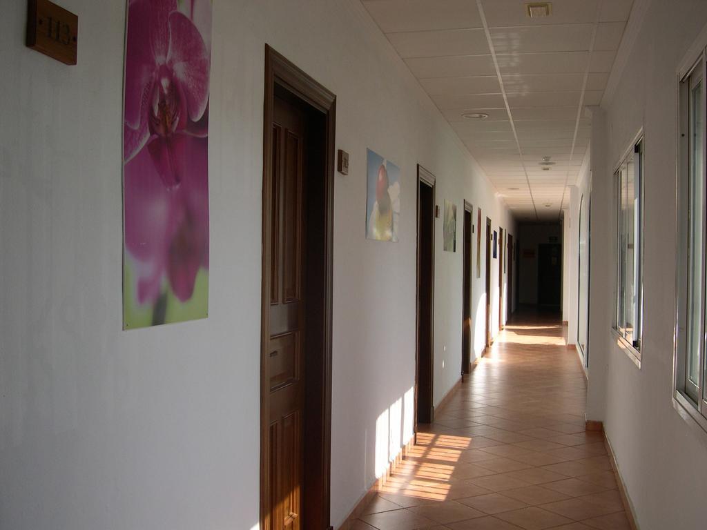 Hotel Cortijo Los Gallos 치클라나 데 라 프론테라 외부 사진